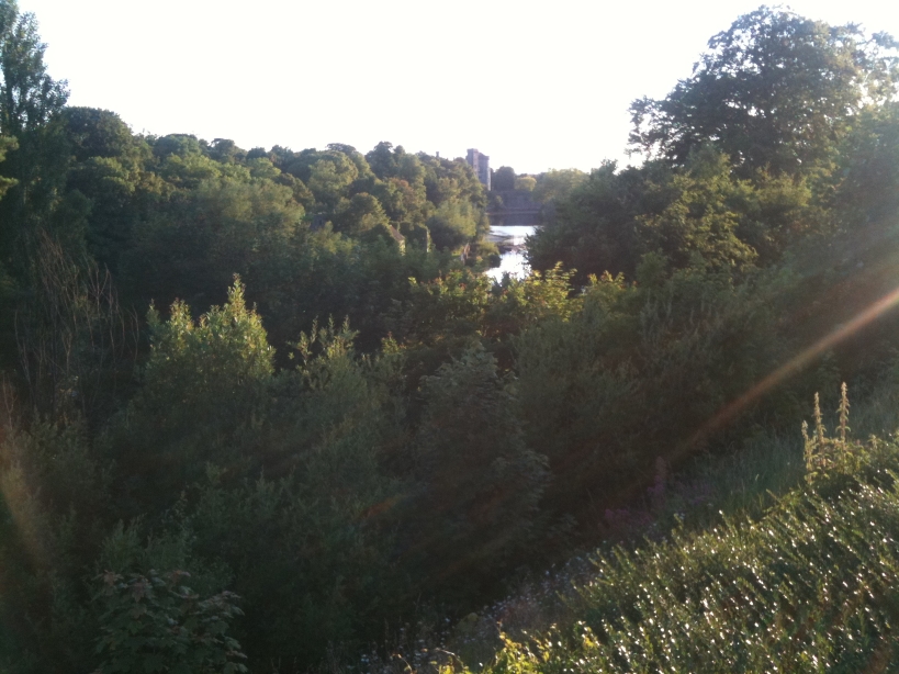 river nore from the Lacken Viewing point