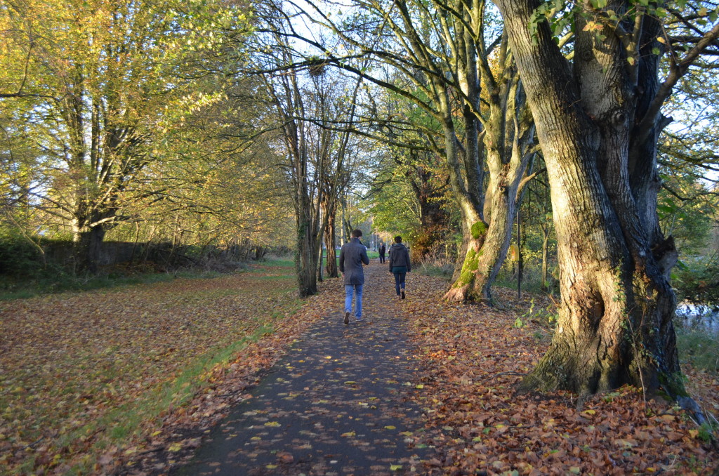  Canal Walk, Kilkenny